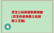 灵芝三萜再提取原理图(灵芝抗癌物质三萜提取工艺图)