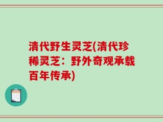 清代野生灵芝(清代珍稀灵芝：野外奇观承载百年传承)