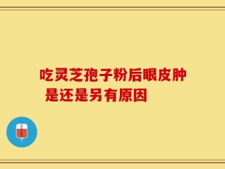 吃灵芝孢子粉后眼皮肿 是还是另有原因