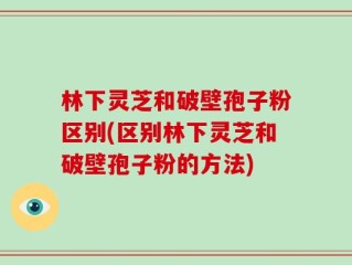 林下灵芝和破壁孢子粉区别(区别林下灵芝和破壁孢子粉的方法)