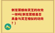 刺苋菜根和灵芝的攻效一样吗(刺苋菜根是否具备与灵芝相似的功效？)