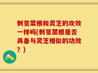 刺苋菜根和灵芝的攻效一样吗(刺苋菜根是否具备与灵芝相似的功效？)