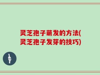 灵芝孢子萌发的方法(灵芝孢子发芽的技巧)