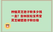 种植灵芝孢子粉多少钱一盒？吉林抚松玉秀堂灵芝破壁孢子粉价格