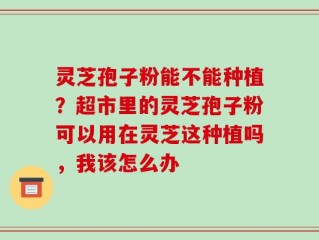 灵芝孢子粉能不能种植？超市里的灵芝孢子粉可以用在灵芝这种植吗，我该怎么办