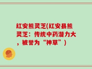 红安熊灵芝(红安县熊灵芝：传统中药潜力大，被誉为“神草”)