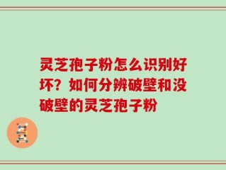 灵芝孢子粉怎么识别好坏？如何分辨破壁和没破壁的灵芝孢子粉