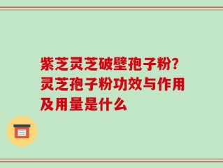 紫芝灵芝破壁孢子粉？灵芝孢子粉功效与作用及用量是什么