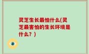 灵芝生长最怕什么(灵芝最害怕的生长环境是什么？)