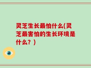 灵芝生长最怕什么(灵芝最害怕的生长环境是什么？)