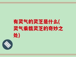 有灵气的灵芝是什么(灵气乘载灵芝的奇妙之处)