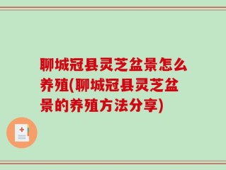 聊城冠县灵芝盆景怎么养殖(聊城冠县灵芝盆景的养殖方法分享)