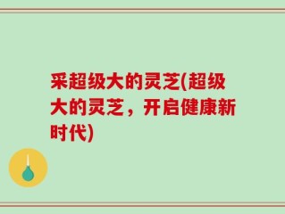 采超级大的灵芝(超级大的灵芝，开启健康新时代)