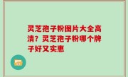 灵芝孢子粉图片大全高清？灵芝孢子粉哪个牌子好又实惠