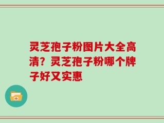 灵芝孢子粉图片大全高清？灵芝孢子粉哪个牌子好又实惠