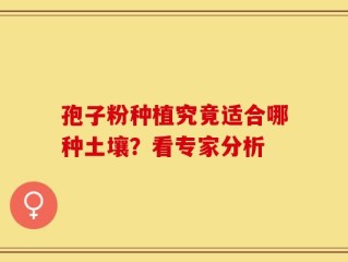 孢子粉种植究竟适合哪种土壤？看专家分析