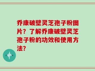 乔康破壁灵芝孢子粉图片？了解乔康破壁灵芝孢子粉的功效和使用方法？