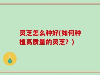 灵芝怎么种好(如何种植高质量的灵芝？)