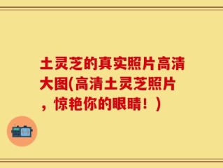 土灵芝的真实照片高清大图(高清土灵芝照片，惊艳你的眼睛！)