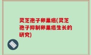 灵芝孢子卵巢癌(灵芝孢子抑制卵巢癌生长的研究)