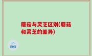 蘑菇与灵芝区别(蘑菇和灵芝的差异)