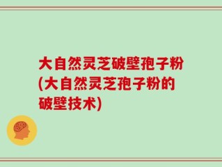 大自然灵芝破壁孢子粉(大自然灵芝孢子粉的破壁技术)