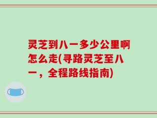 灵芝到八一多少公里啊怎么走(寻路灵芝至八一，全程路线指南)