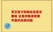 灵芝孢子粉刚出菇是否要收 这是种植者需要考量的关键问题