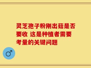 灵芝孢子粉刚出菇是否要收 这是种植者需要考量的关键问题