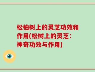 松柏树上的灵芝功效和作用(松树上的灵芝：神奇功效与作用)