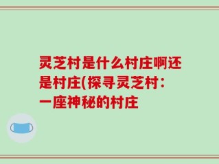 灵芝村是什么村庄啊还是村庄(探寻灵芝村：一座神秘的村庄