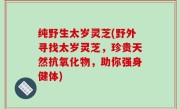 纯野生太岁灵芝(野外寻找太岁灵芝，珍贵天然抗氧化物，助你强身健体)