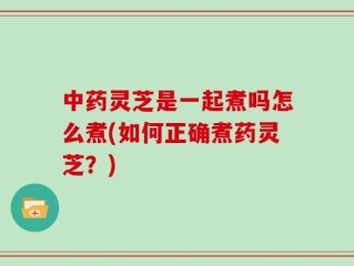 中药灵芝是一起煮吗怎么煮(如何正确煮药灵芝？)