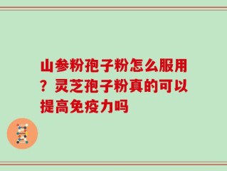 山参粉孢子粉怎么服用？灵芝孢子粉真的可以提高免疫力吗
