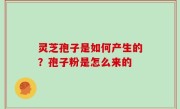 灵芝孢子是如何产生的？孢子粉是怎么来的