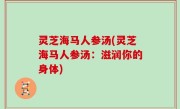 灵芝海马人参汤(灵芝海马人参汤：滋润你的身体)