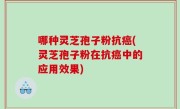 哪种灵芝孢子粉抗癌(灵芝孢子粉在抗癌中的应用效果)