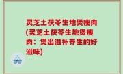 灵芝土茯苓生地煲瘦肉(灵芝土茯苓生地煲瘦肉：煲出滋补养生的好滋味)