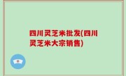 四川灵芝米批发(四川灵芝米大宗销售)