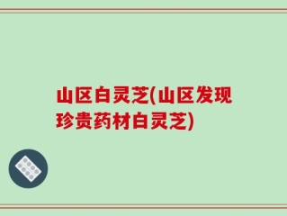 山区白灵芝(山区发现珍贵药材白灵芝)