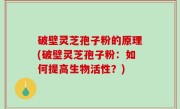 破壁灵芝孢子粉的原理(破壁灵芝孢子粉：如何提高生物活性？)