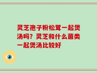 灵芝孢子粉松茸一起煲汤吗？灵芝和什么菌类一起煲汤比较好