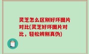灵芝怎么区别好坏图片对比(灵芝好坏图片对比，轻松辨别真伪)