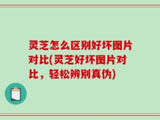 灵芝怎么区别好坏图片对比(灵芝好坏图片对比，轻松辨别真伪)