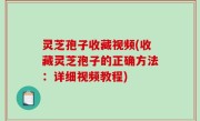 灵芝孢子收藏视频(收藏灵芝孢子的正确方法：详细视频教程)