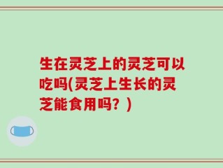 生在灵芝上的灵芝可以吃吗(灵芝上生长的灵芝能食用吗？)