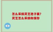 怎么采摘灵芝孢子囊？灵芝怎么采摘和保存