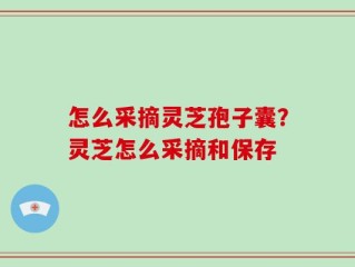 怎么采摘灵芝孢子囊？灵芝怎么采摘和保存