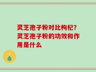 灵芝孢子粉对比枸杞？灵芝孢子粉的功效和作用是什么