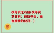 茯苓灵芝石斛(茯苓灵芝石斛：预防养生，振奋精神的秘药！)